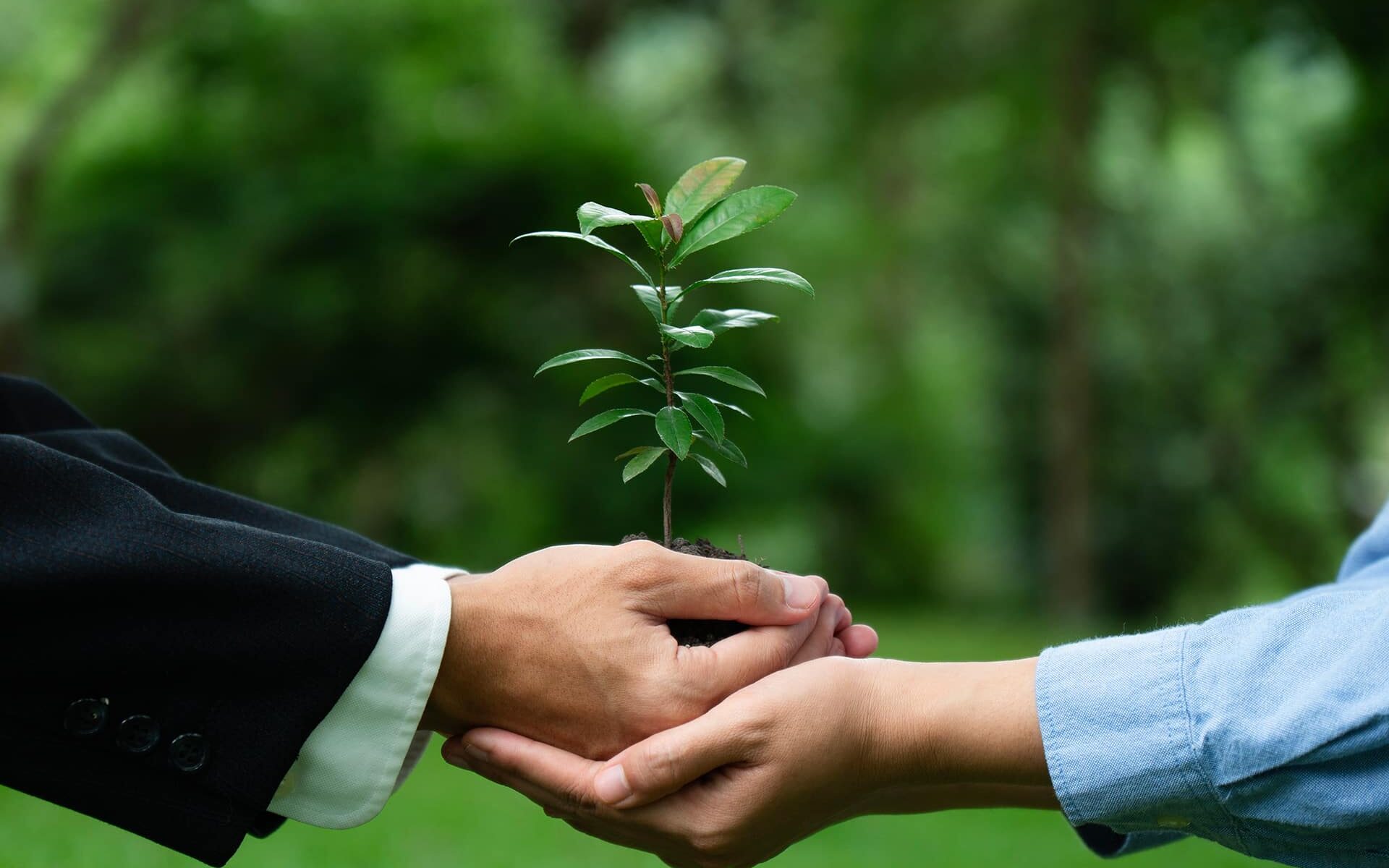 Devoir de vigilance trois décisions chambre 5-12 cour d'appel de Paris