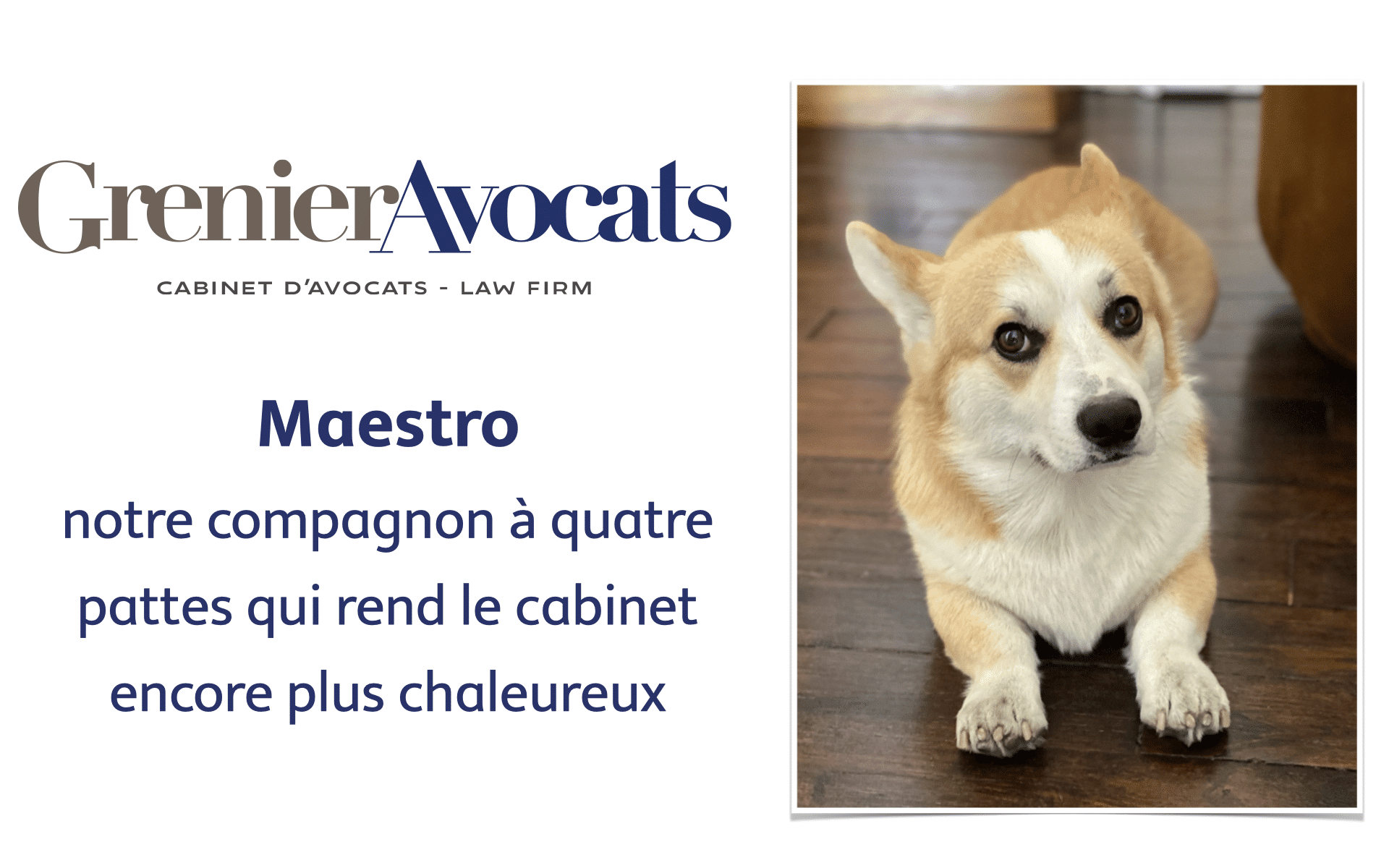 Nous sommes heureux de vous présenter Maestro !